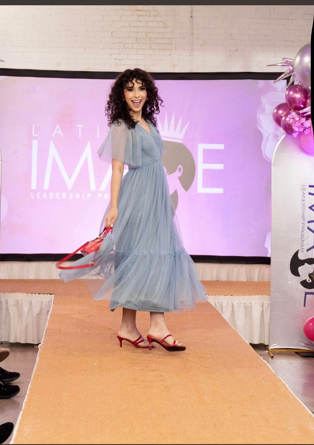 Ruffled Mesh Long Dress