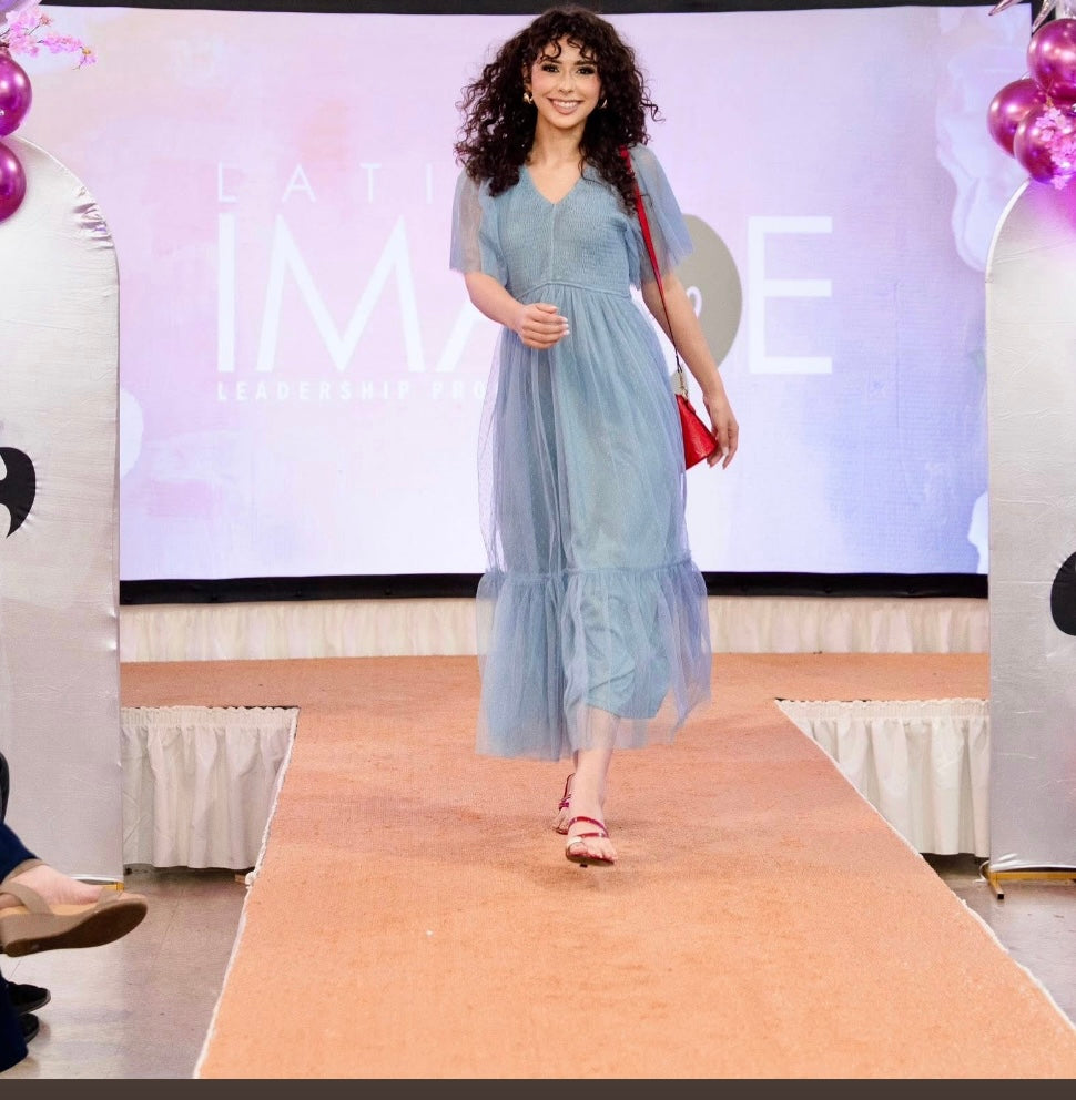 Ruffled Mesh Long Dress