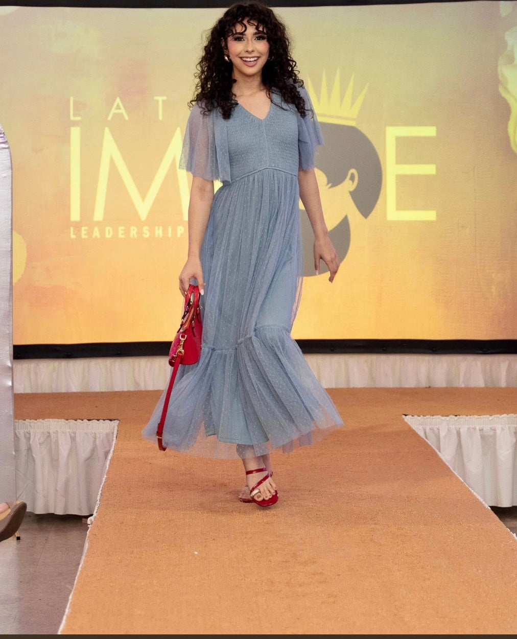 Ruffled Mesh Long Dress